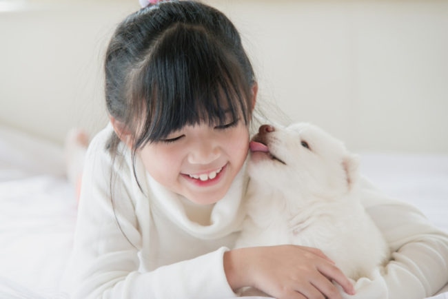 女の子の顔を舐める白い子犬の画像